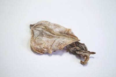 鱿鱼干
