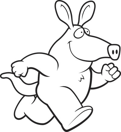 Aardvark运行