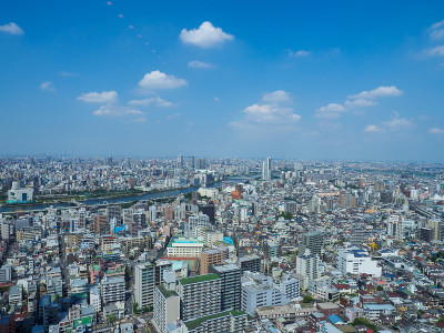 日本观察室