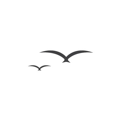 Seagul鸟插图