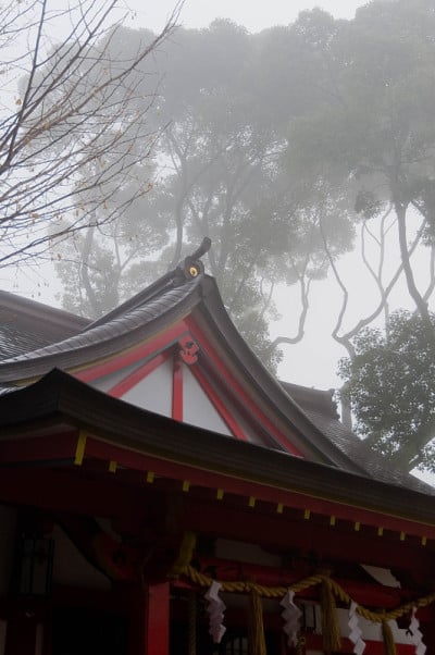 神道神社坐落在雾中