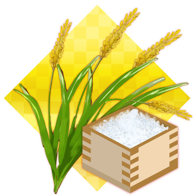 大米和大米在一个盒子里