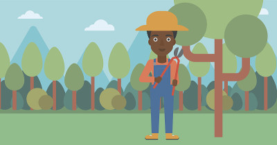 Farmer with pruner in garden