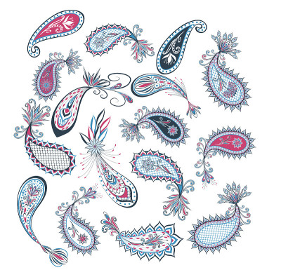 Vector decorative Paisley, floral elements.