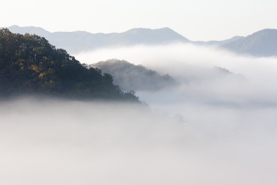 雾，山