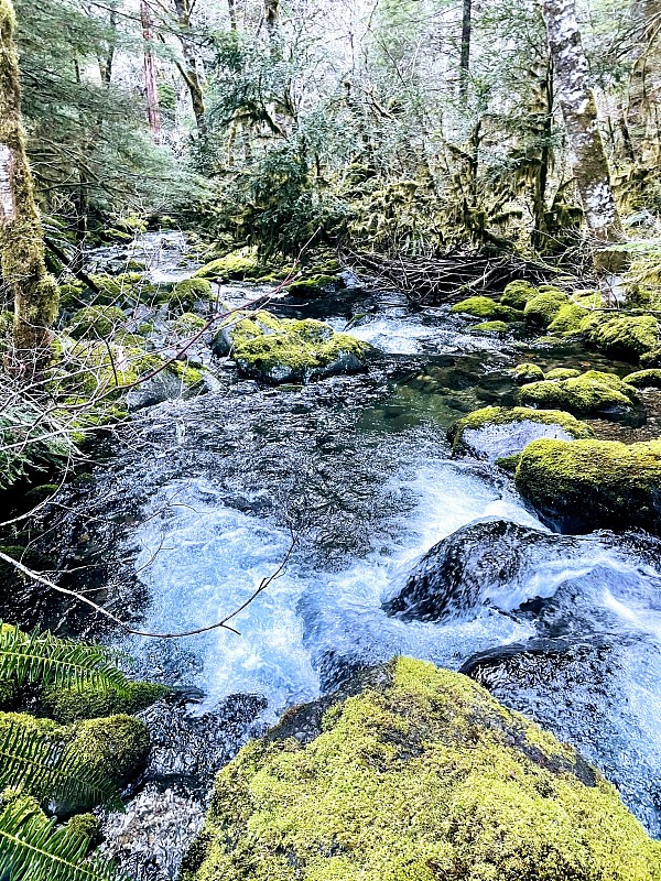 蓝河俄勒冈州