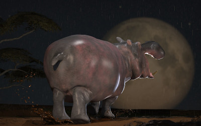 后面的侧面视图河马在月亮和它是下雨的3d渲染