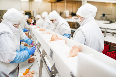 肉的工厂。传送带上的鸡。一群在鸡肉工厂工作的工人——食品加工厂的概念。
