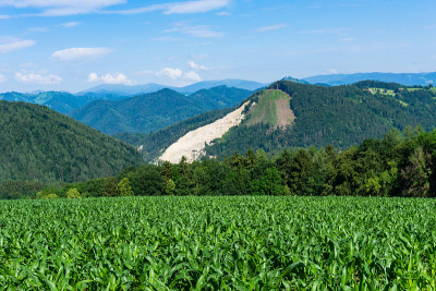 玉米地，可以看到许多小山