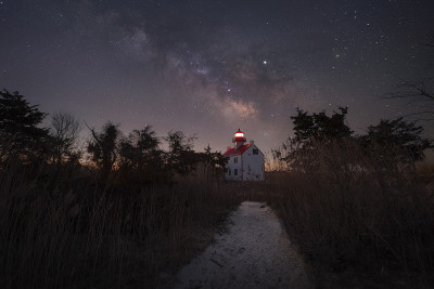 星星在长满秃树的湖面上划过