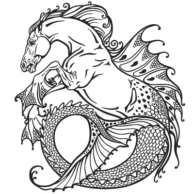 海马体黑白相间