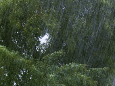大雨
