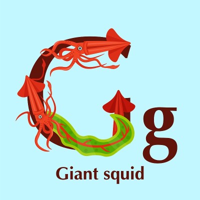 海洋动物字母表。ABC的儿童。字母G。