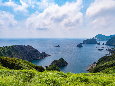 晚黄黄花公园位于日本静冈县伊豆半岛最南端的爱爱Misaki角。南伊豆被自然的、季节性的色彩包围着。