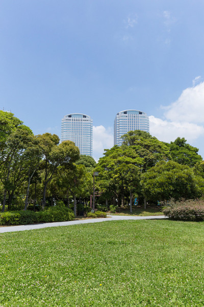 高楼林立，绿意盎然的公园