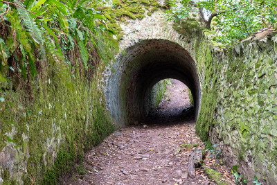 西南海岸的童话隧道