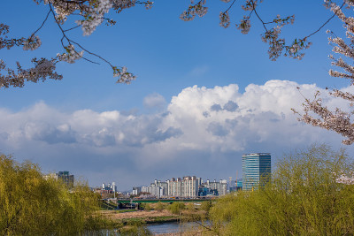 云在城市
