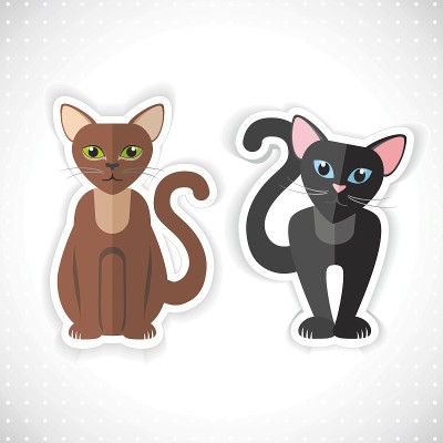 猫向量