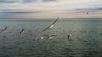 巴拉顿湖Balatonfüred -匈牙利