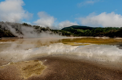 新西兰罗托鲁瓦火山地区的湖泊和森林