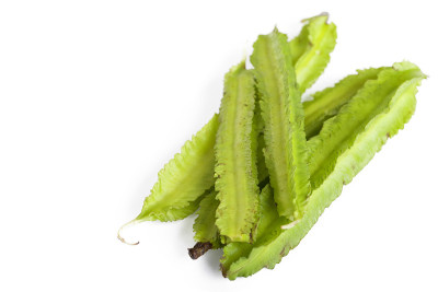 有翼的豆