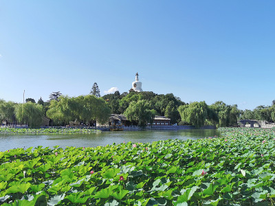 北京的北海公园在夏天