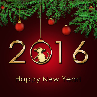 2016年新年——猴年