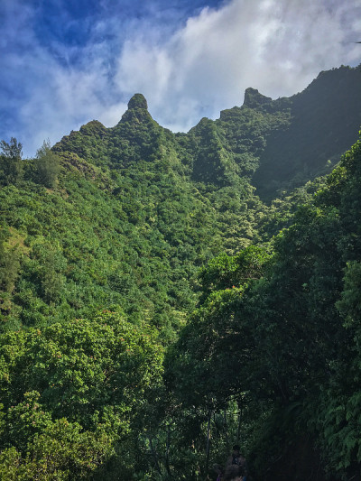 美国夏威夷，考艾岛，卡拉劳步道