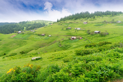 雾高原高地与吉雷孙-土耳其
