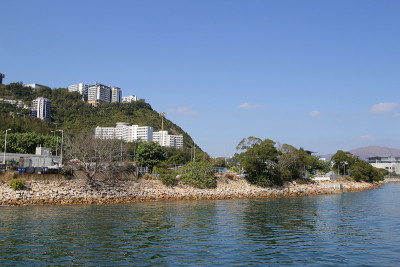 吐露港