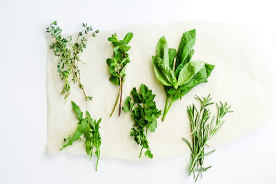 白色背景上的新鲜烹饪香草:迷迭香，百里香，薄荷，芝麻菜，罗勒和欧芹小束