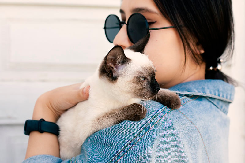 年轻迷人的女人拥抱猫咪的手。可爱迷人的女孩戴着时髦的太阳镜和她的暹罗猫摆姿势