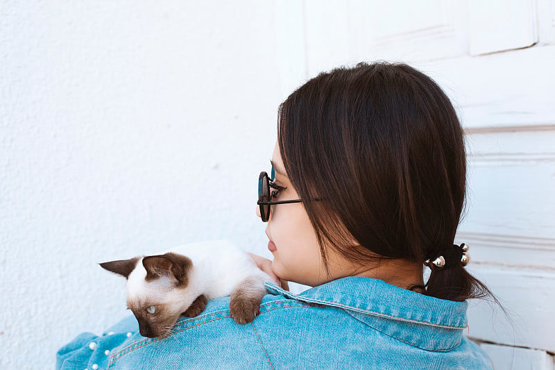 年轻迷人的女人拥抱猫咪的手。可爱迷人的女孩戴着时髦的太阳镜和她的暹罗猫摆姿势