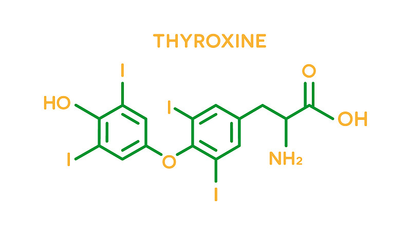 甲状腺素激素分子式。人体激素符号