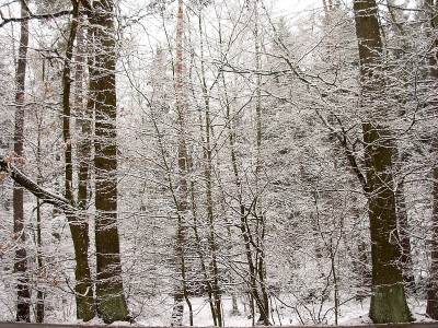 库特纳霍拉和卡罗维发利之间的雪路