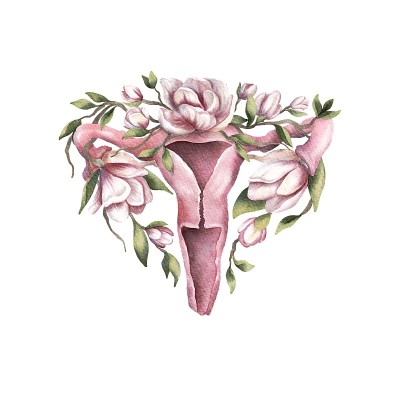 雌性生殖系统有花。