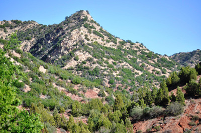 山