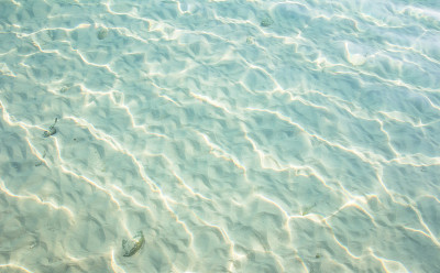 热带海水清澈
