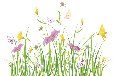 草花插画