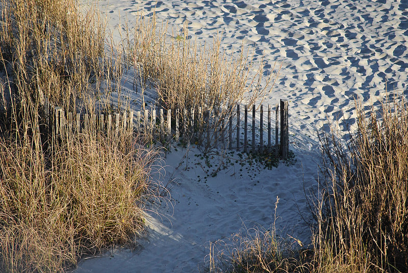 beach_path