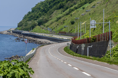 一条路