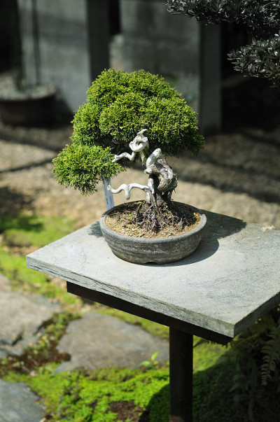 邦萨