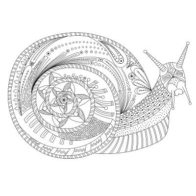 抽象的蜗牛。矢量插图。适合涂色书