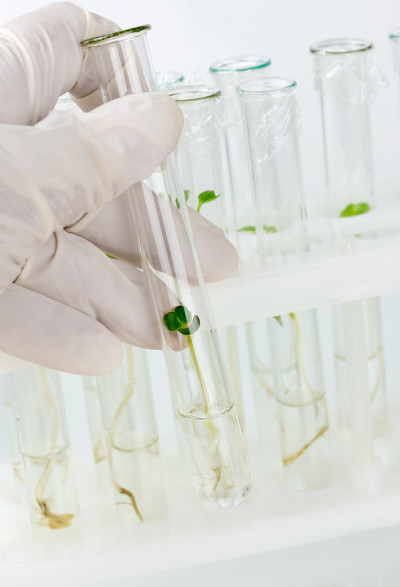 实验室生物技术研究