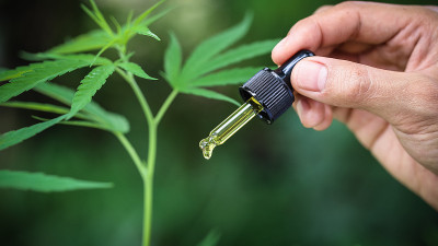 大麻油滴细节，药草，滴管，生物医药和生态cbd油从医学提取