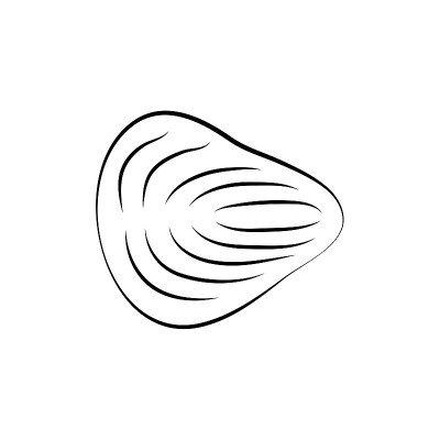 小脑矢量图