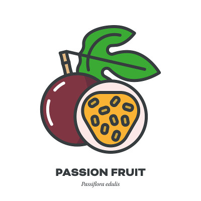 Passion fruit icon, filled outline style vector