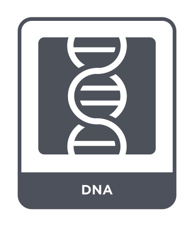 dna图标矢量白色背景，dna时尚填充图标从教育收藏