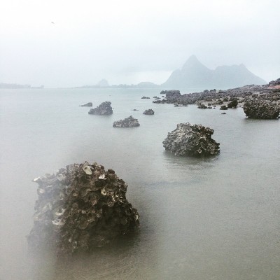美丽的热带海雨景