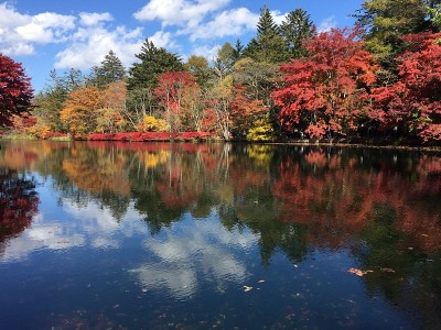 亚洲轻井泽久白池美丽的秋景